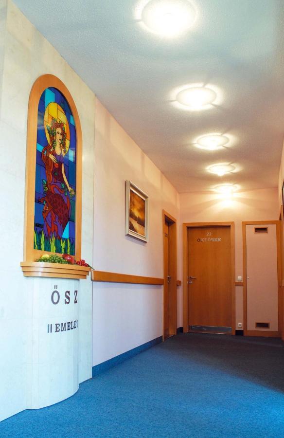 Hozam Wellness és Apartman Szolnok Extérieur photo